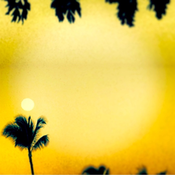 Meet your Posher, KJ - Picture 1 of 1